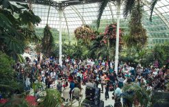 A crowd gathered and some participating in a dance inside Sefton Park's Palm House.