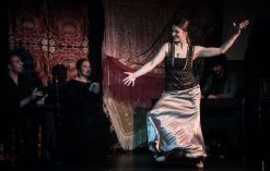 A flamenco dancer performing on stage.