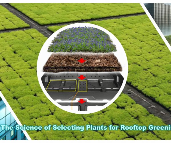 The Science of Selecting Plants for Rooftop Greening: Promoting Urban Ecological Sustainability