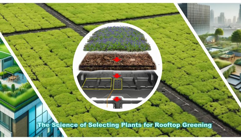 The Science of Selecting Plants for Rooftop Greening: Promoting Urban Ecological Sustainability