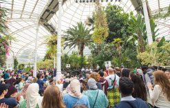 A crowd gathered inside the Sefton Park Palmhouse for the Liverpool Arab Arts Festival family day.