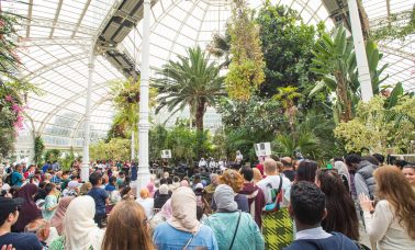 A crowd gathered inside the Sefton Park Palmhouse for the Liverpool Arab Arts Festival family day.