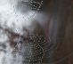 The Young Photographer Andreas Martin Fedrigo conquers the audience of New York Art Expo