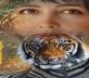 Miami, FL / September 2025 Inspirational Songwriter DANILA SIGAL, Roars Back with “The Comeback” A Bold New Album and Anthem of Defiance, Resilience, and Unbreakable Spirit